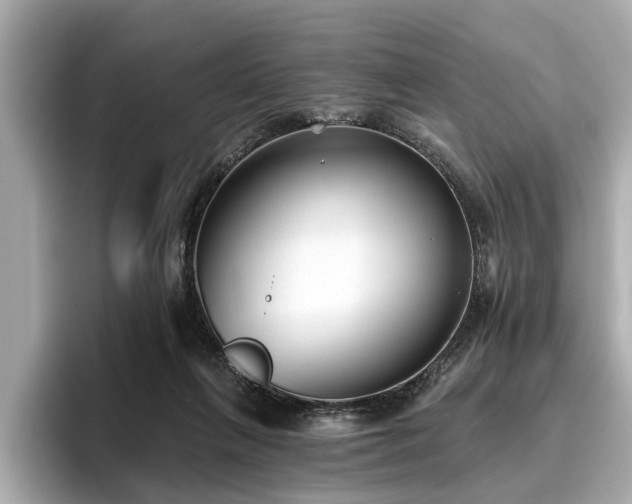 X0000096630263200802051113