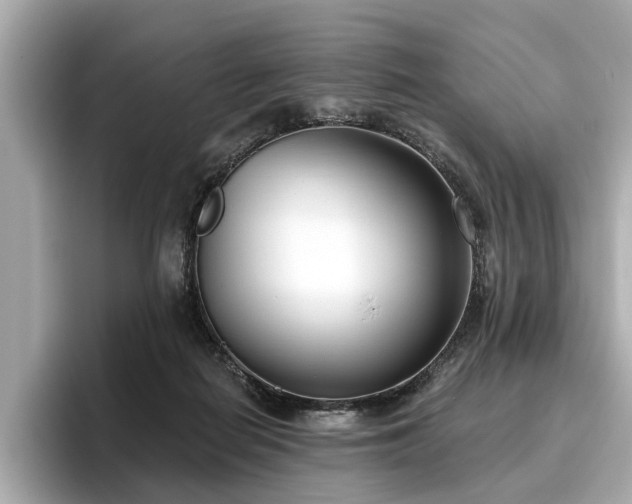 X0000096630266200802051113