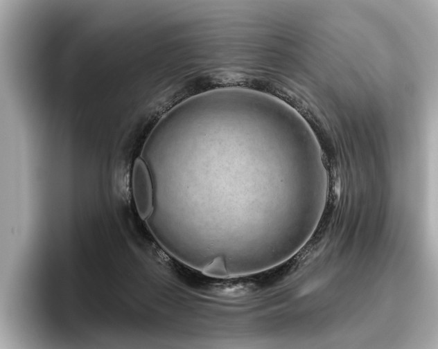 X0000096630267200802051113
