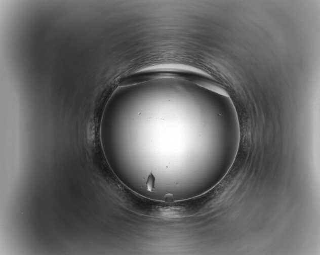 X0000096630268200802051113