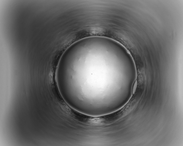 X0000096630269200802051113