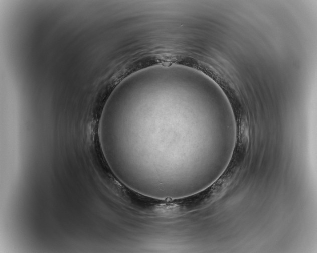 X0000096630271200802051113