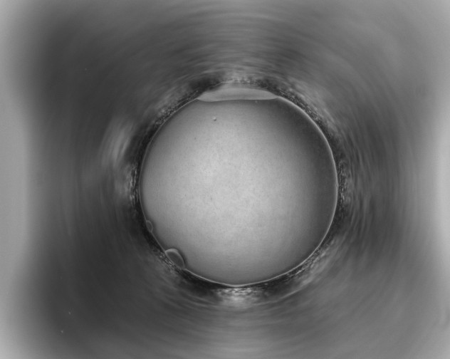 X0000096630273200802051113