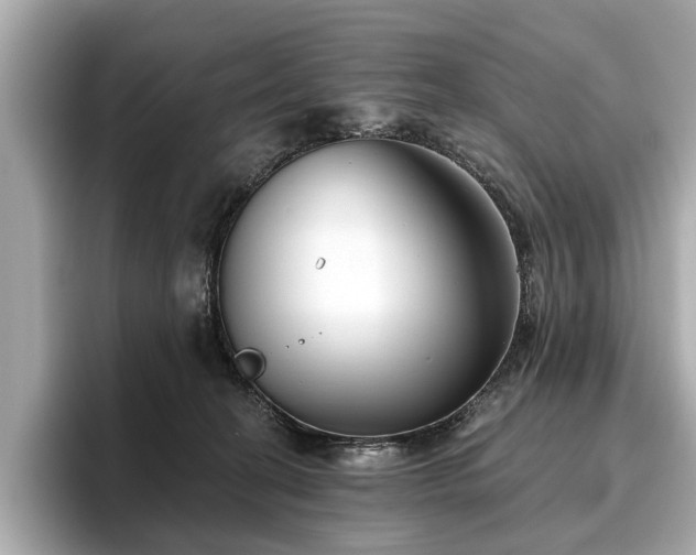 X0000096630274200802051113