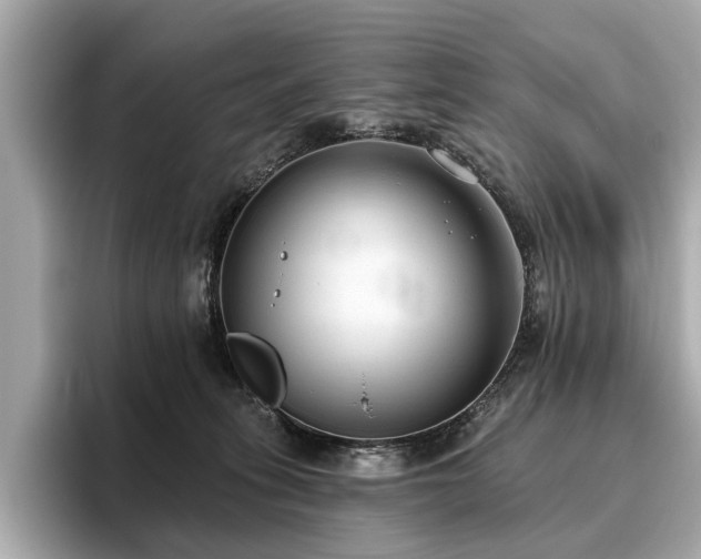 X0000096630275200802051113