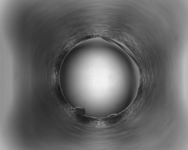 X0000096630276200802051113