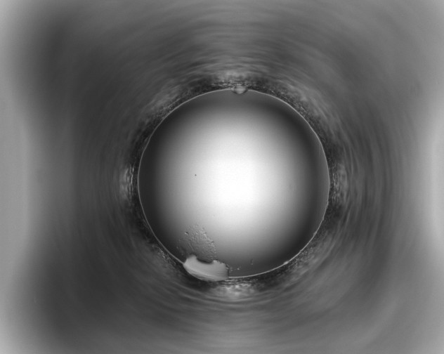 X0000096630278200802051113