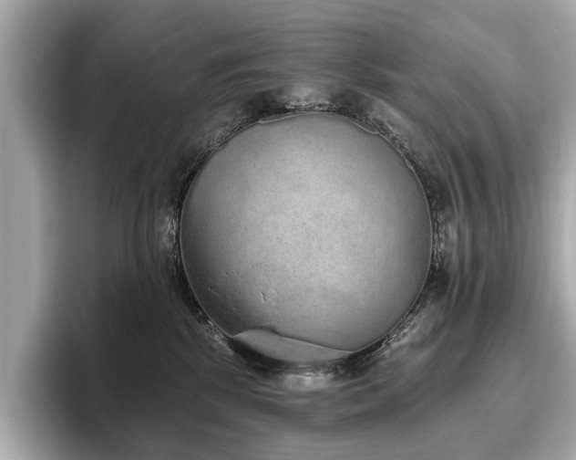 X0000096630281200802051113