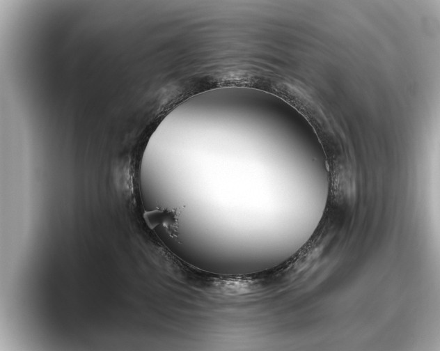 X0000096630282200802051113