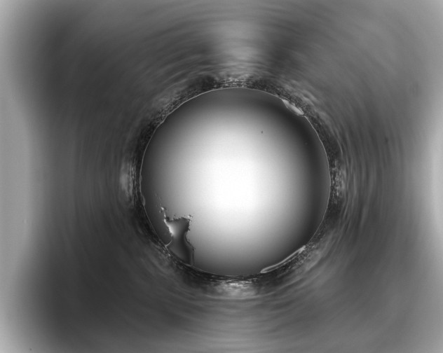 X0000096630283200802051113