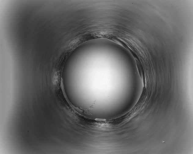X0000096630284200802051113