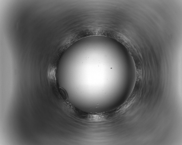 X0000096630286200802051113