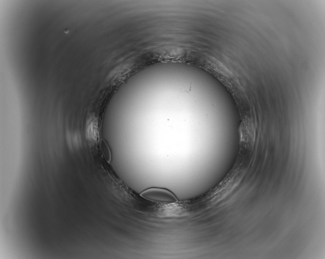 X0000096630287200802051113