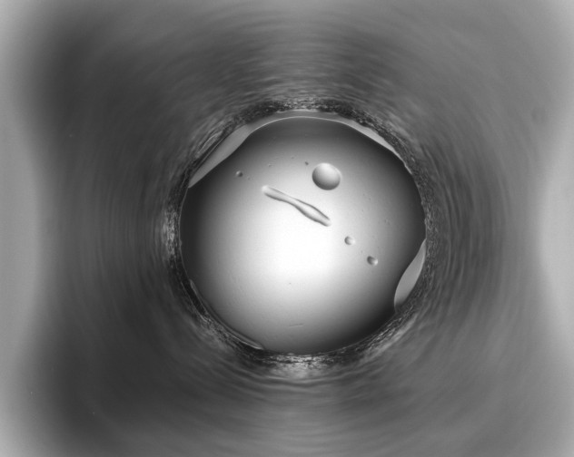 X0000096630288200802051113