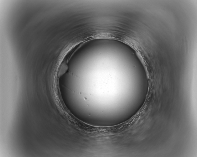X0000096630289200802051113