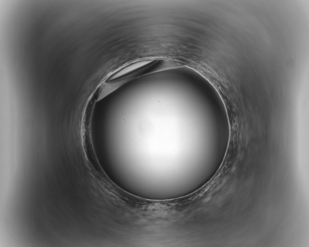 X0000096630290200802051113