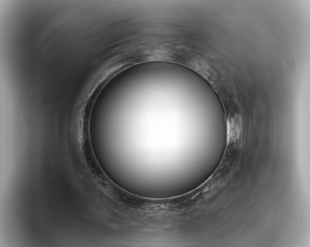 X0000096630291200802051113