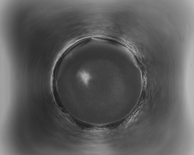 X0000096630292200802051113