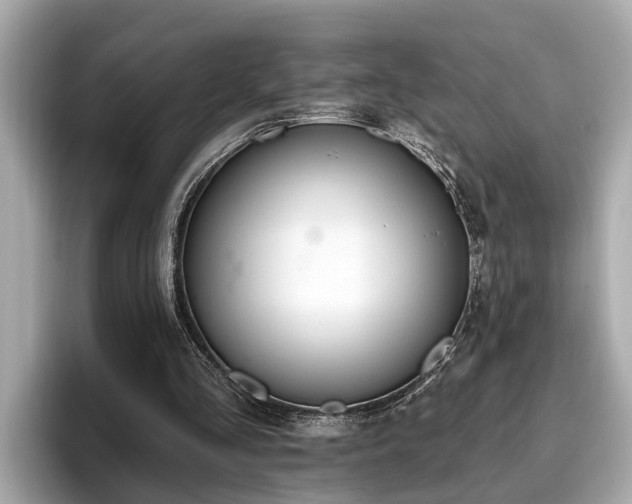 X0000096630293200802051113