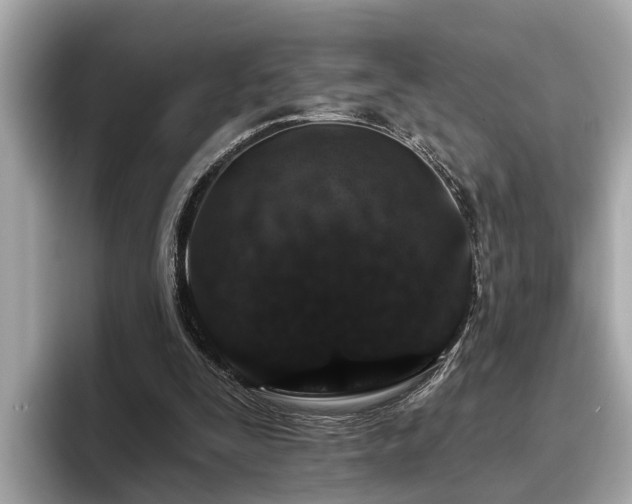 X0000096630295200802051113