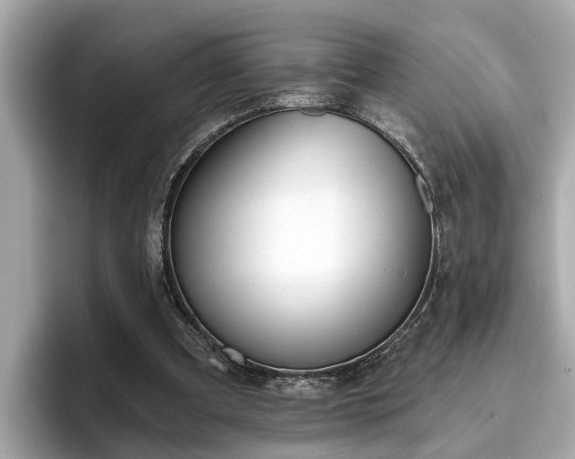 X0000096630297200802051113