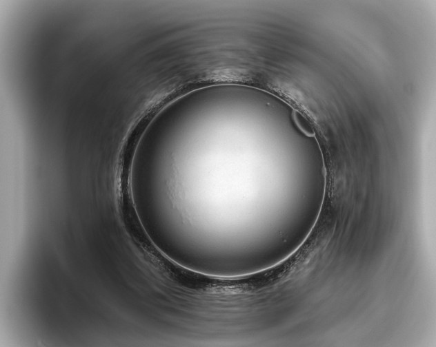 X0000096630299200802051113