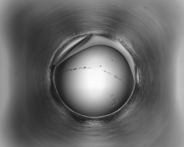 X0000096630300200802051113