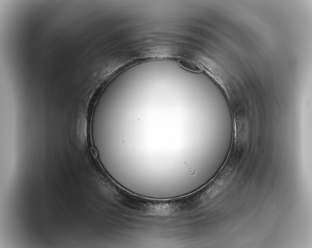 X0000096630301200802051113