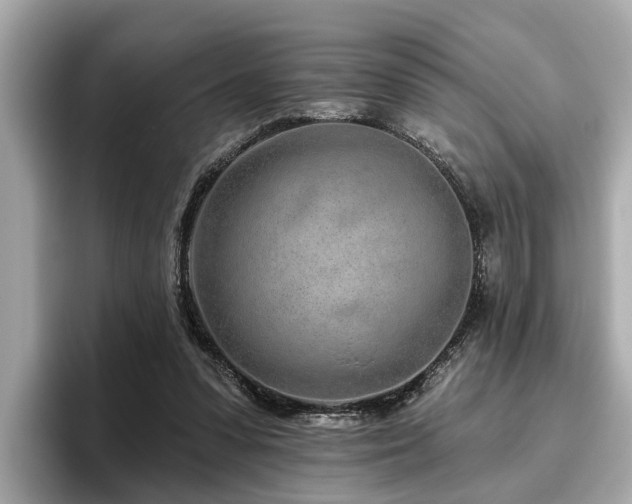 X0000096630303200802051113