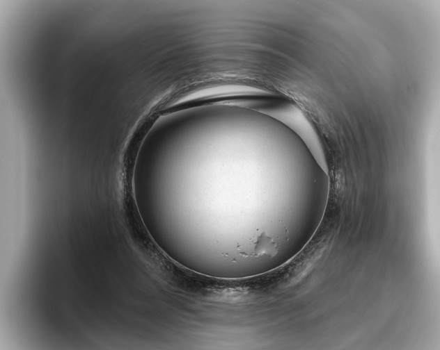 X0000096630304200802051113