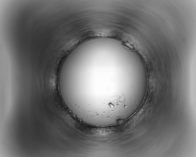 X0000096630305200802051113