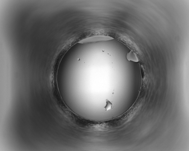 X0000096630306200802051113