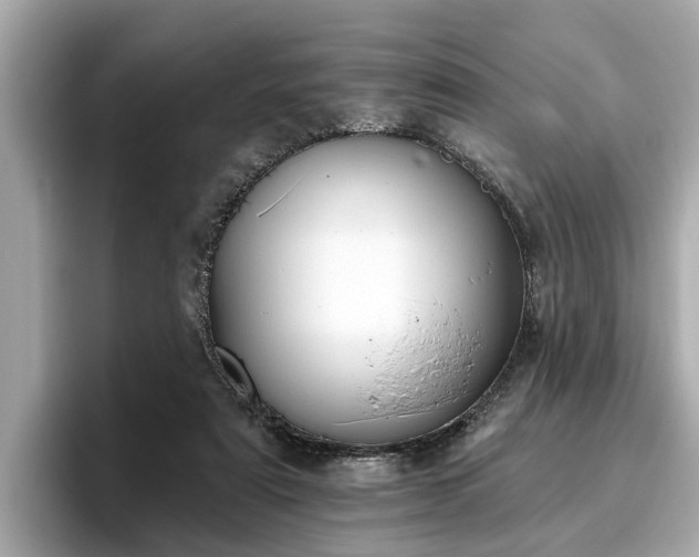 X0000096630307200802051113