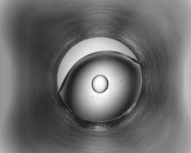 X0000096630308200802051113