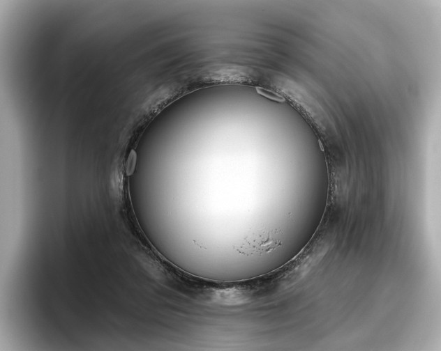 X0000096630309200802051113