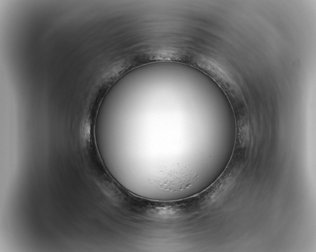 X0000096630310200802051113