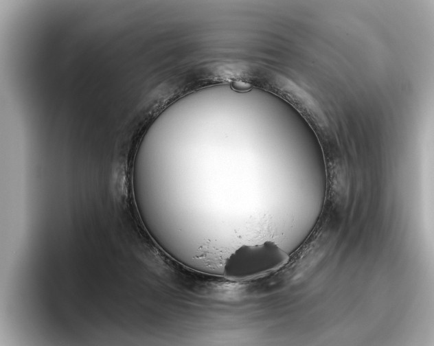X0000096630313200802051113