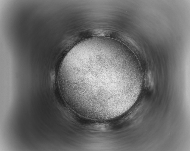 X0000096630314200802051113
