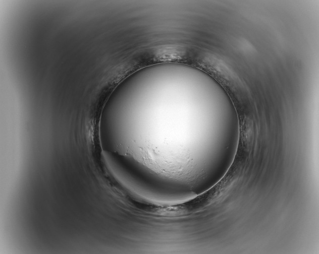 X0000096630315200802051113