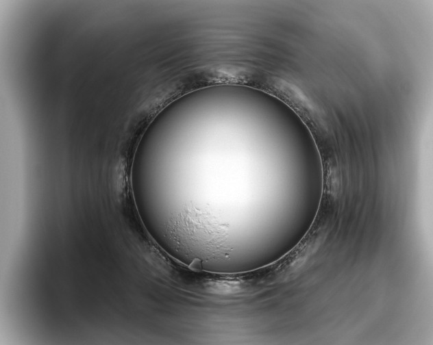 X0000096630318200802051112
