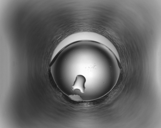 X0000096630320200802051112