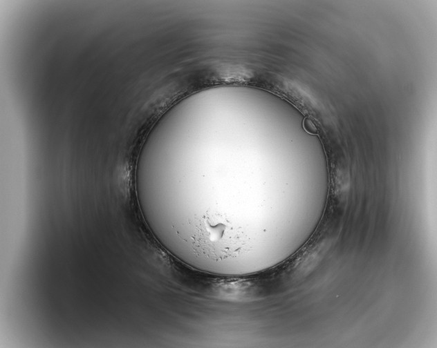 X0000096630321200802051112