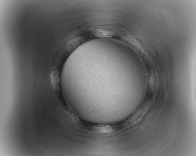 X0000096630322200802051112