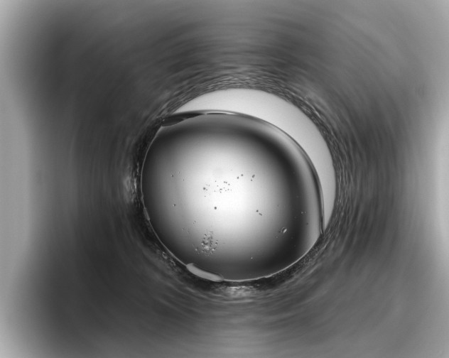 X0000096630324200802051112