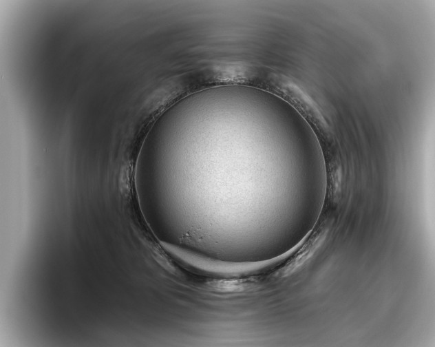 X0000096630325200802051112