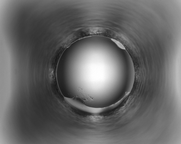 X0000096630327200802051112