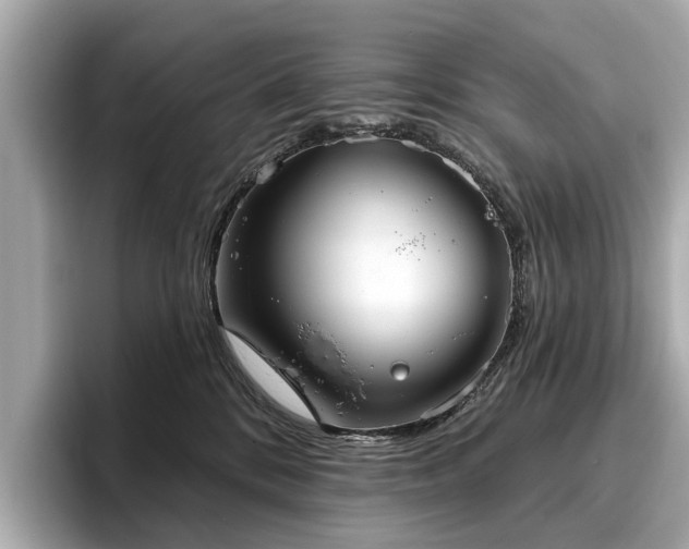 X0000096630328200802051112