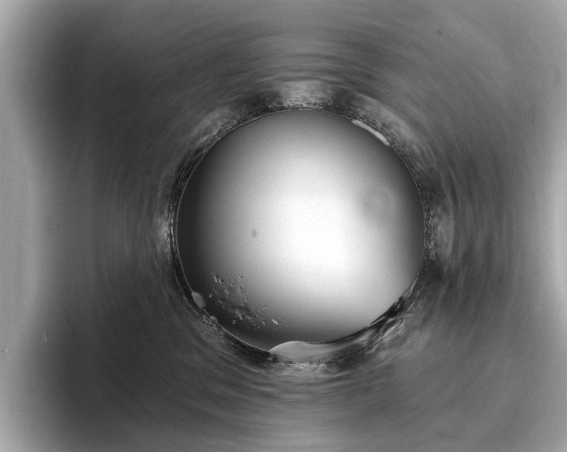 X0000096630329200802051112