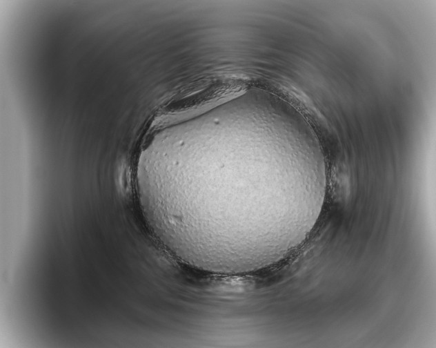 X0000096630330200802051112