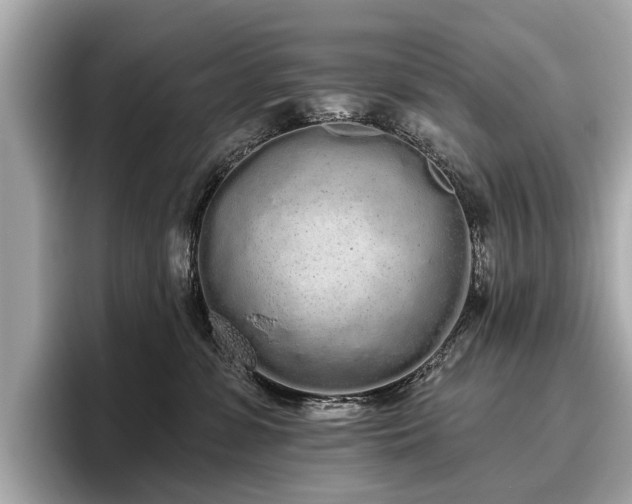 X0000096630331200802051112